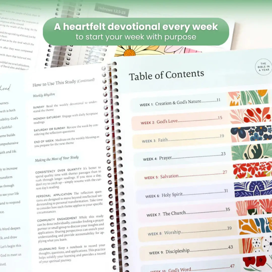 The Bible In a Year: A 52-Week Study