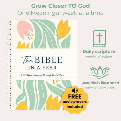 The Bible In a Year: A 52-Week Study